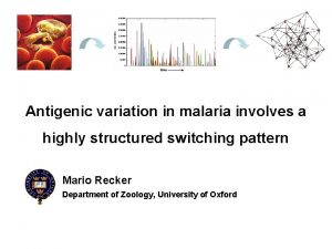 Antigenic variation in malaria involves a highly structured