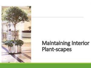 Maintaining Interior Plantscapes Next Generation ScienceCommon Core Standards