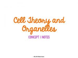 Cell Theory 1 All living things are made