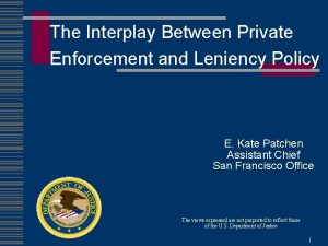 The Interplay Between Private Enforcement and Leniency Policy