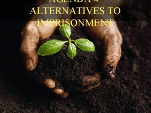 AGENDA 4 ALTERNATIVES TO IMPRISONMENT Alternatives to Imprisonment