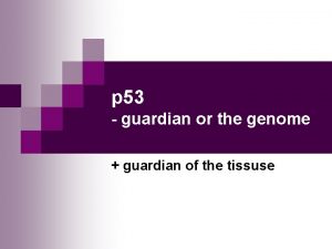 p 53 guardian or the genome guardian of