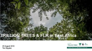 TRILLION TREES FLR in East Africa 29 August