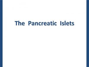 The Pancreatic Islets Morphology of the Endocrine Pancreas