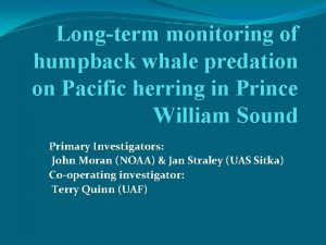 Longterm monitoring of humpback whale predation on Pacific