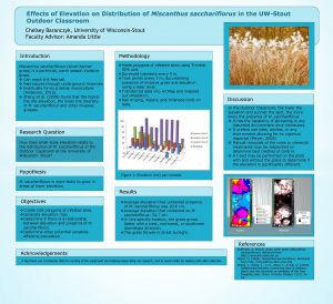 Effects of Elevation on Distribution of Miscanthus sacchariflorus