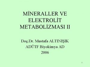 MNERALLER VE ELEKTROLT METABOLZMASI II Do Dr Mustafa