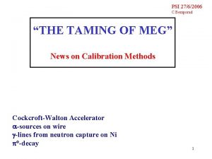 PSI 2762006 C Bemporad THE TAMING OF MEG