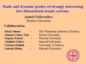 Static and dynamic probes of strongly interacting lowdimensional