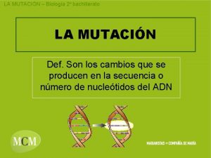 LA MUTACIN Biologa 2 bachillerato LA MUTACIN Def