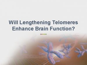 Will Lengthening Telomeres Enhance Brain Function Telomere Shortening