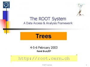 The ROOT System A Data Access Analysis Framework