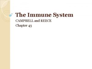 The Immune System CAMPBELL and REECE Chapter 43