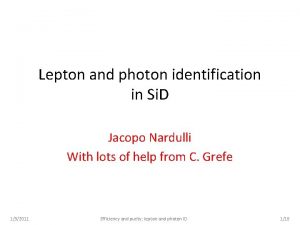 Lepton and photon identification in Si D Jacopo