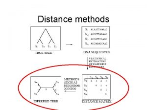 Distance methods Distance methods UPGMA similar to hierarchical