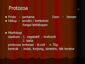 Protozoa 1 l l Proto pertama Hidup sendiri