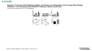 Neogenin1 Promotes Cell Proliferation Motility and Adhesion by