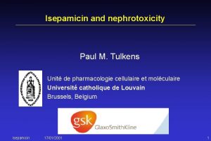 Isepamicin and nephrotoxicity Paul M Tulkens Unit de