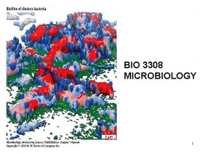 BIO 3308 MICROBIOLOGY 1 Chapter 1 Microbial Life