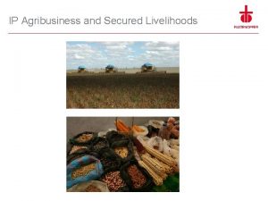 IP Agribusiness and Secured Livelihoods IP Agribusiness and