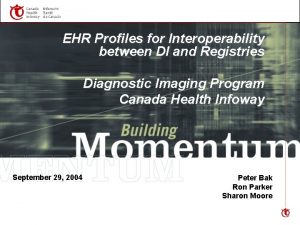 EHR Profiles for Interoperability between DI and Registries