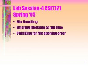 Lab Session4 CSIT 121 Spring 05 File Handling