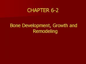 CHAPTER 6 2 Bone Development Growth and Remodeling