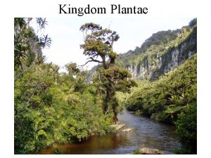 Kingdom Plantae Plant characteristics most are shared with