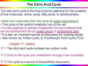 The Citric Acid Cycle The citric acid cycle