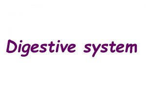 Digestive system http biologyanimation blogspot com http kitses