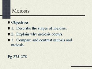 Meiosis Objectives 1 Describe the stages of meiosis