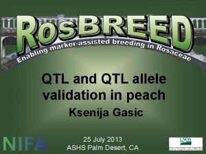 QTL and QTL allele validation in peach Ksenija