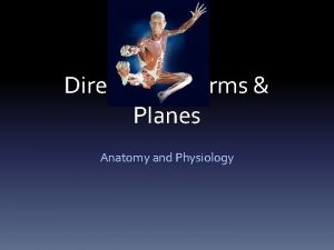 Directional Terms Planes Anatomy and Physiology Anatomical Orientation