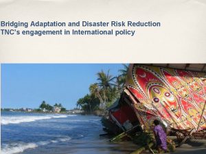 Bridging Adaptation and Disaster Risk Reduction TNCs engagement