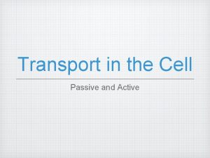Transport in the Cell Passive and Active Passive