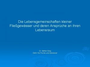 Die Lebensgemeinschaften kleiner Fliegewsser und deren Ansprche an