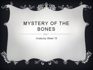 MYSTERY OF THE BONES Anatomy Week 18 MYSTERY