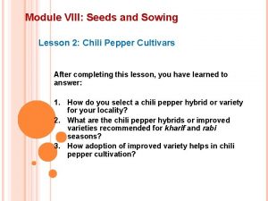 Module VIII Seeds and Sowing Lesson 2 Chili