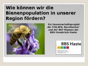 Wie knnen wir die Bienenpopulation in unserer Region