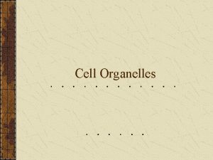 Cell Organelles Organelle A part of the cell