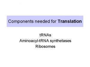 Components needed for Translation t RNAs Aminoacylt RNA