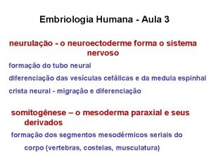 Embriologia Humana Aula 3 neurulao o neuroectoderme forma