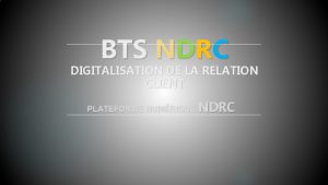 BTS NDRC DIGITALISATION DE LA RELATION CLIENT PLATEFORME