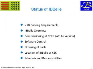 Status of IBBelle VXD Cooling Requirements IBBelle Overview