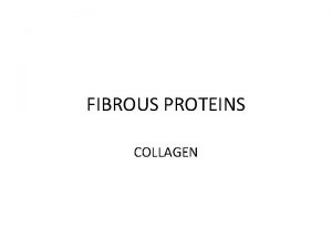 FIBROUS PROTEINS COLLAGEN Important Fibrous Proteins Intermediate filaments