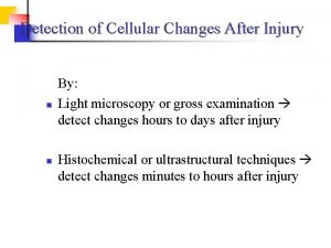 Detection of Cellular Changes After Injury n n