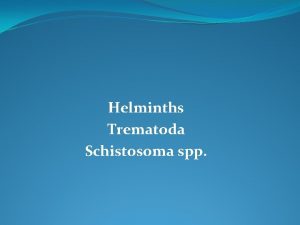 Helminths Trematoda Schistosoma spp The family Schistosomatidae include