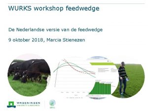 WURKS workshop feedwedge De Nederlandse versie van de