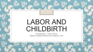 LABOR AND CHILDBIRTH Presented by Sierra RNIII Pardee