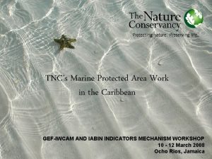 TNCs Marine Protected Area Work in the Caribbean